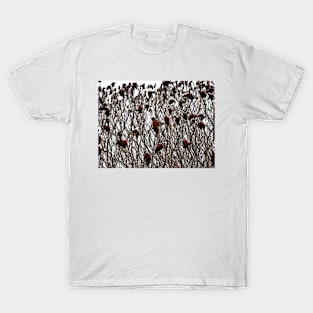 Robin and Sumac T-Shirt